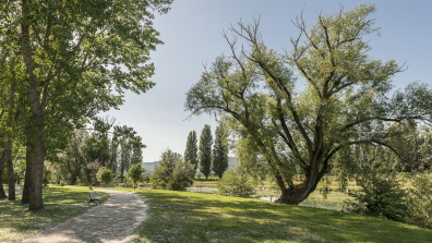 Borgo Torre Certalda - Umbertide 